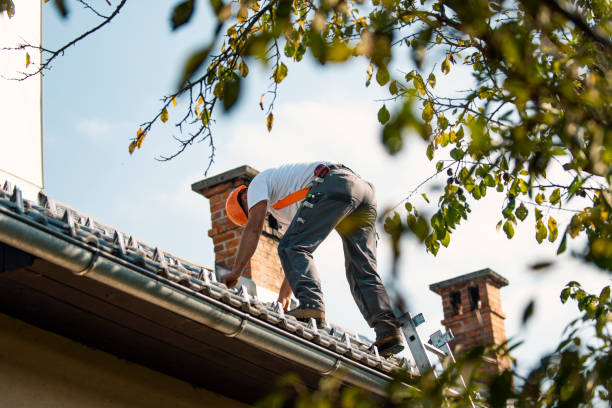 Best Roof Gutter Cleaning  in Ixonia, WI